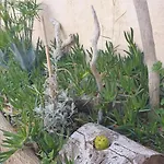 Maisonnette Au Grau D Agde Proche De La Casa de Férias *