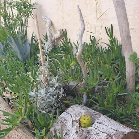 Maisonnette Au Grau D Agde Proche De La Holiday home *