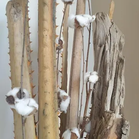 Maisonnette Au Grau D Agde Proche De La Le Grau-dʼAgde