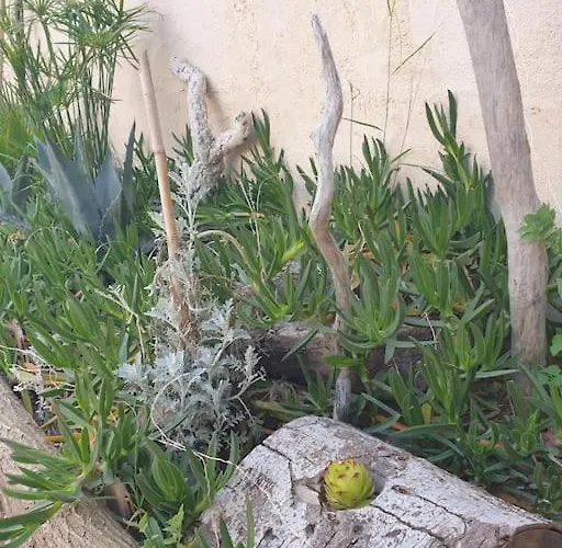 Maisonnette Au Grau D Agde Proche De La Casa vacanze *